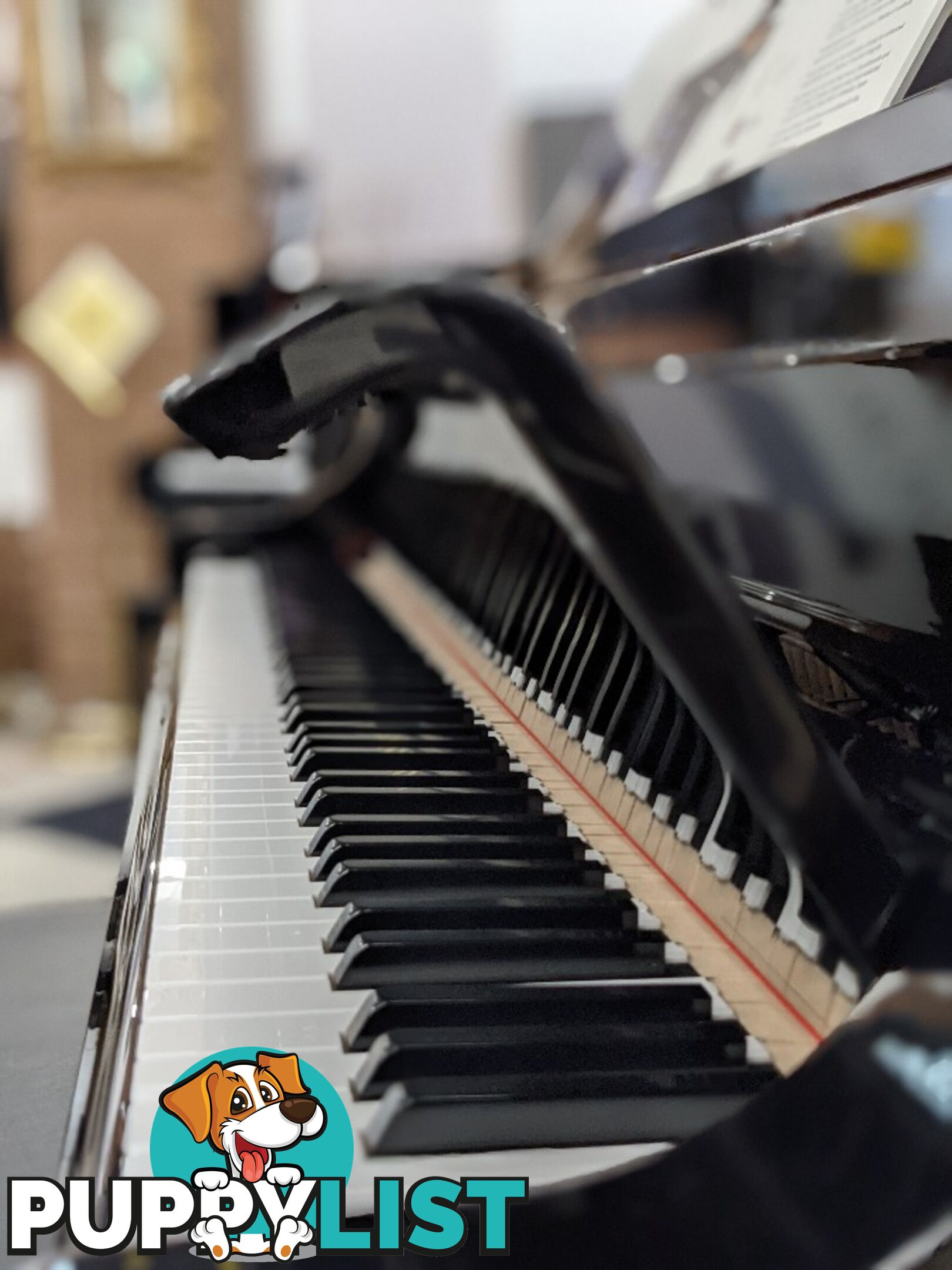 Yamaha Disklavier Enspire Baby Grand Piano GC1M Ebony Polished