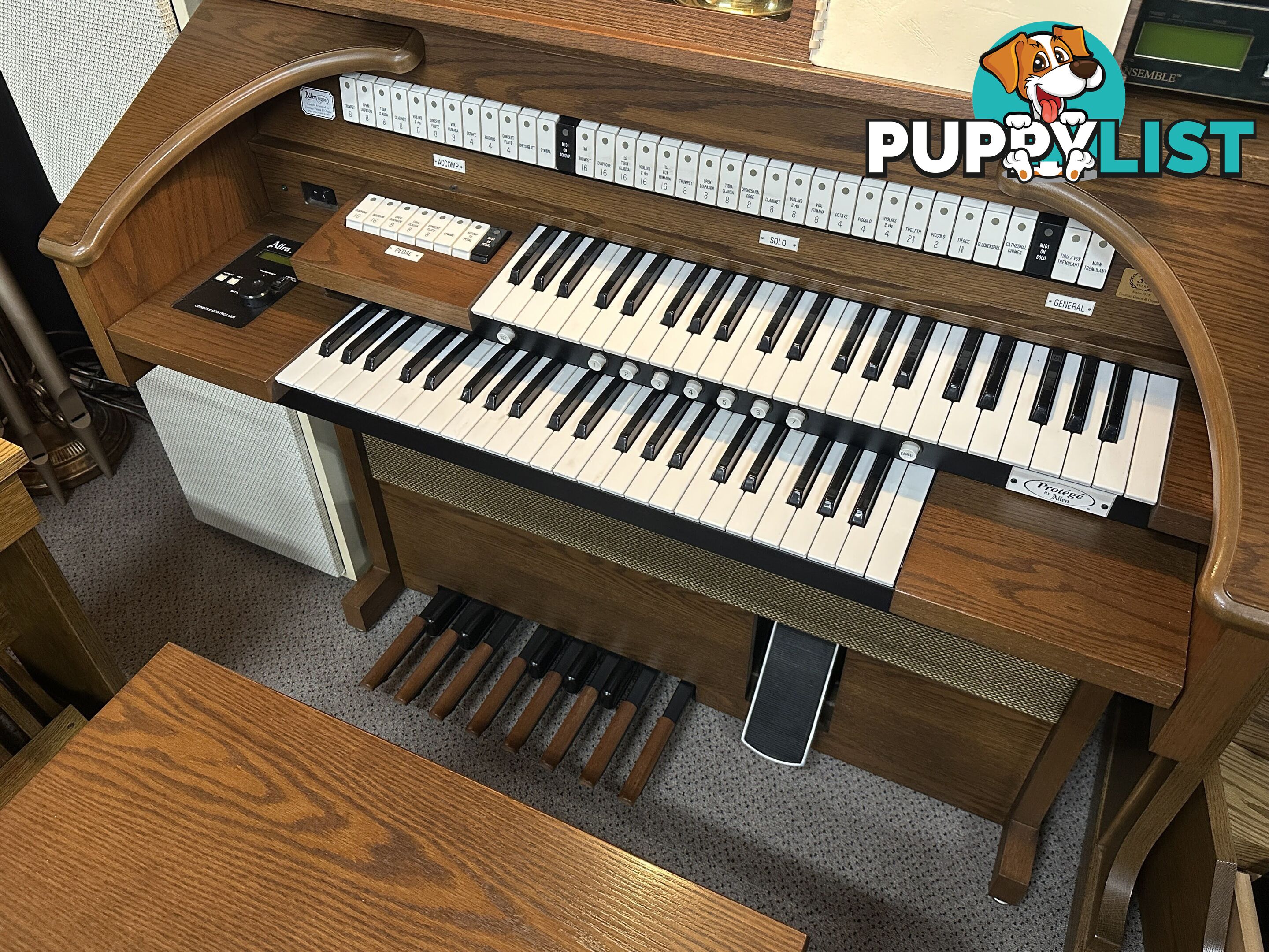 Allen Protege Theatre Compact (PTC) Organ