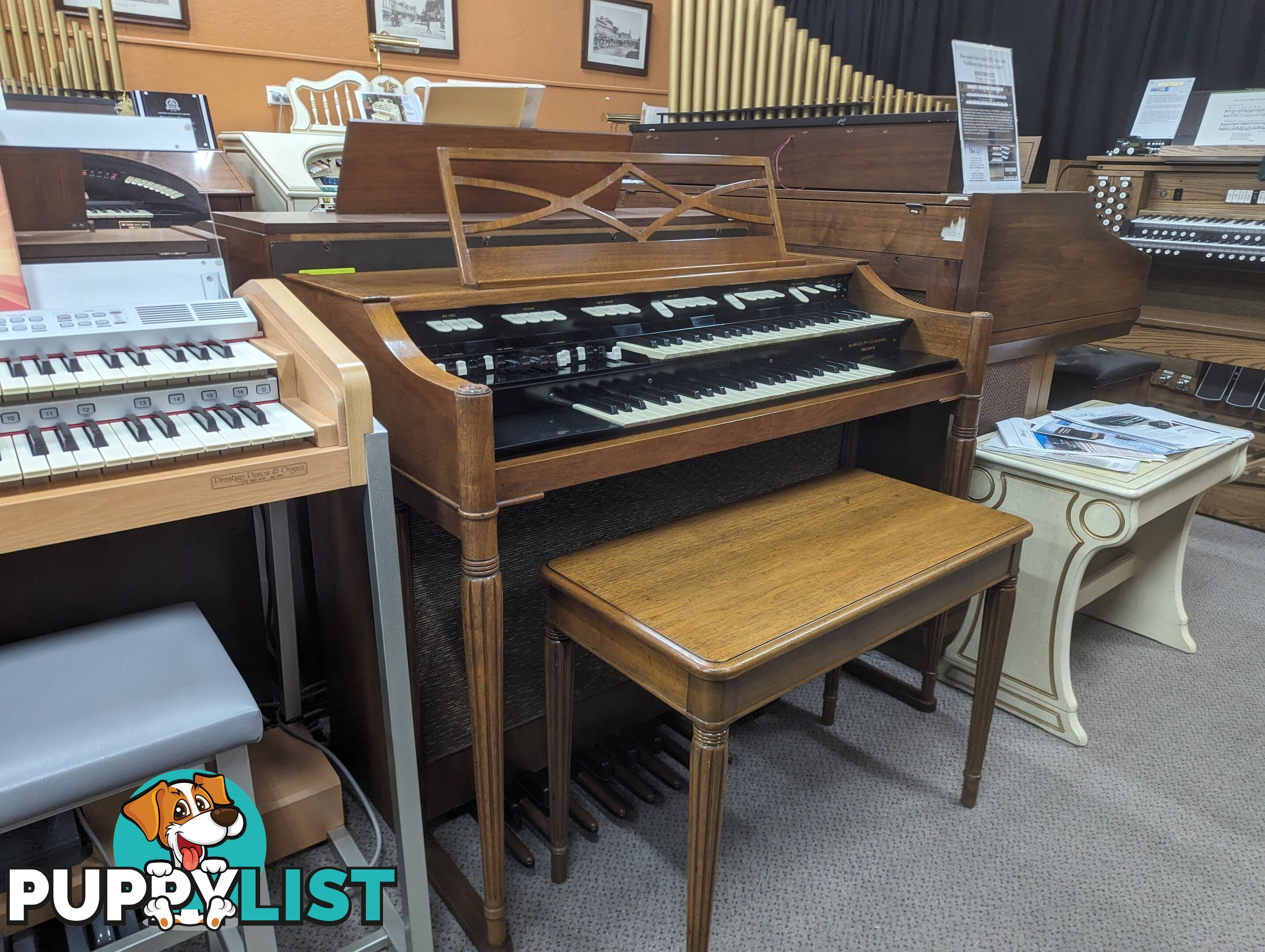 Hammond M100 Series Tone Wheel Organ - M-111, tradition style in walnut.