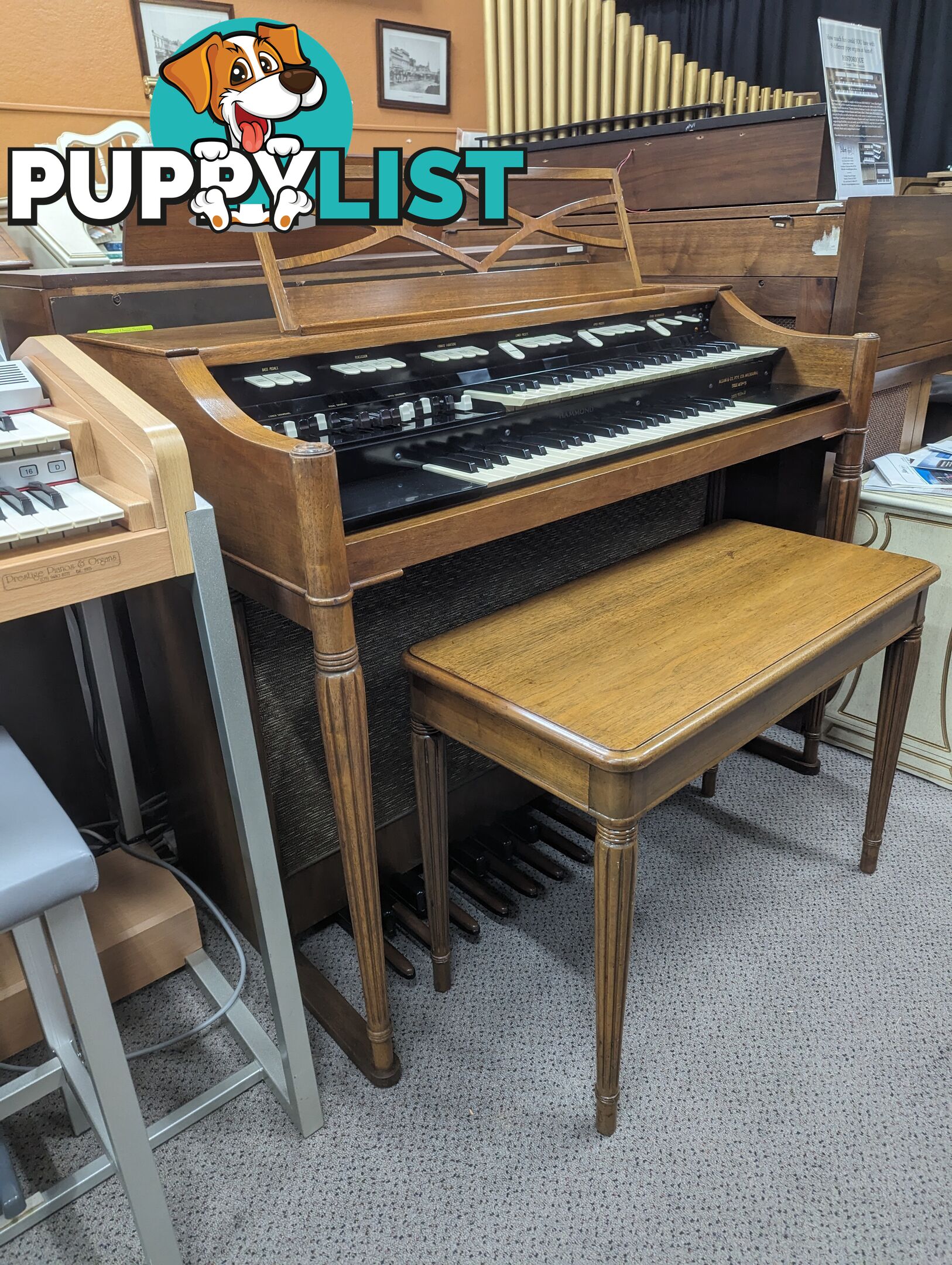 Hammond M100 Series Tone Wheel Organ - M-111, tradition style in walnut.