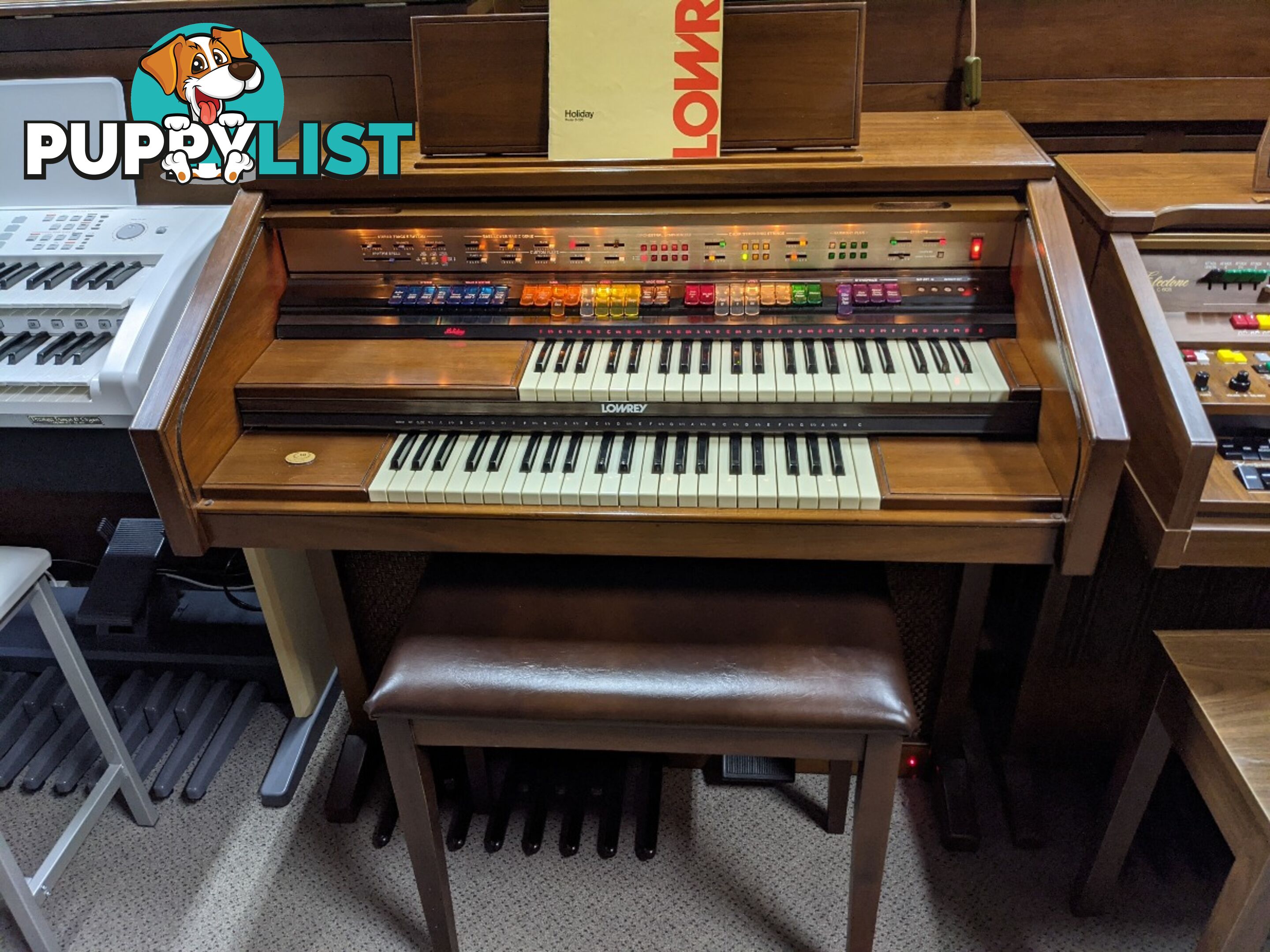 Lowrey Holiday D350 Organ