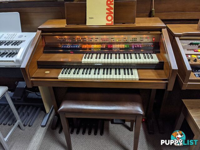 Lowrey Holiday D350 Organ