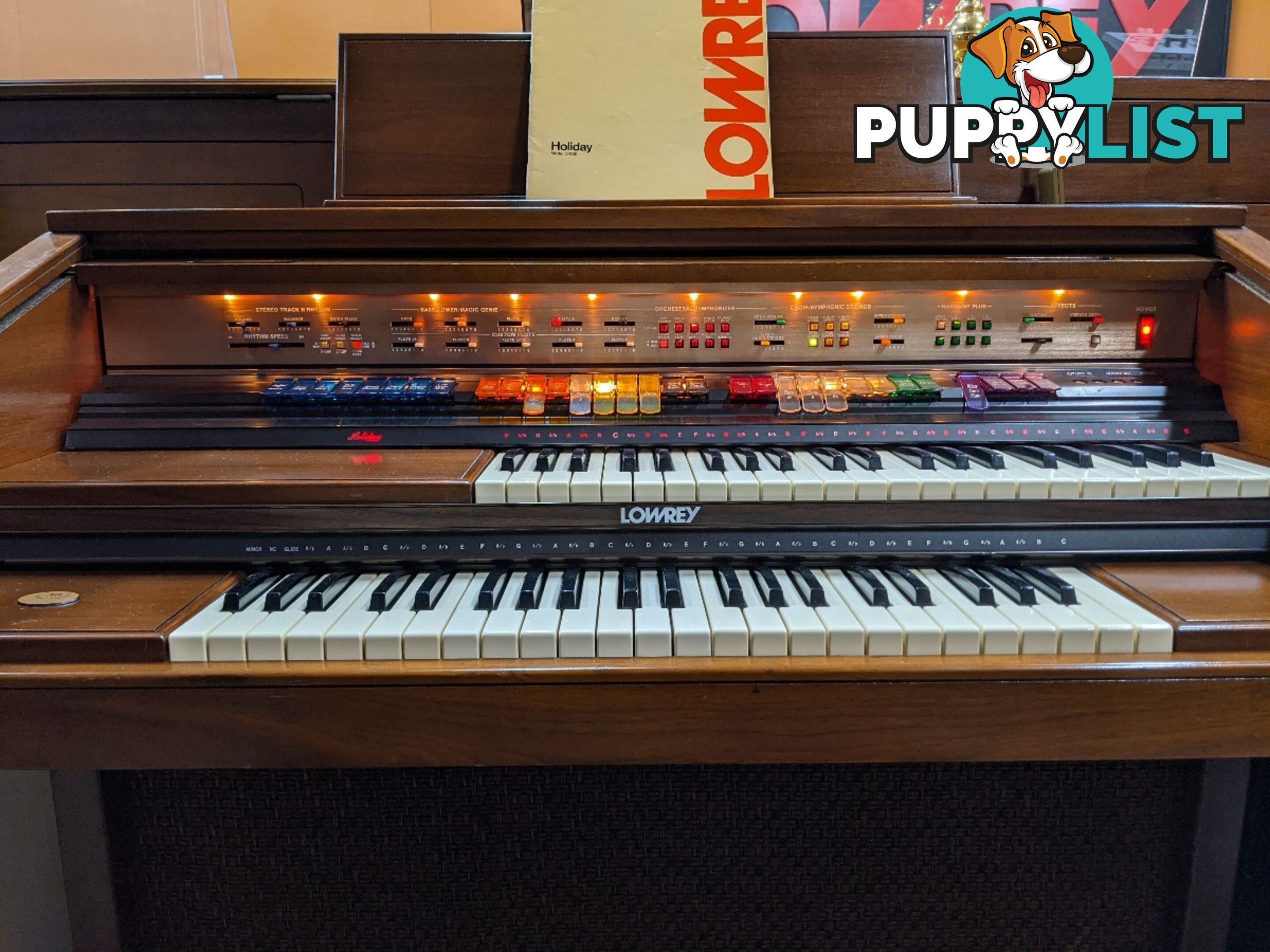 Lowrey Holiday D350 Organ