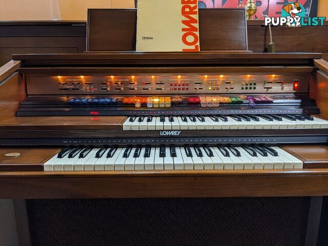 Lowrey Holiday D350 Organ