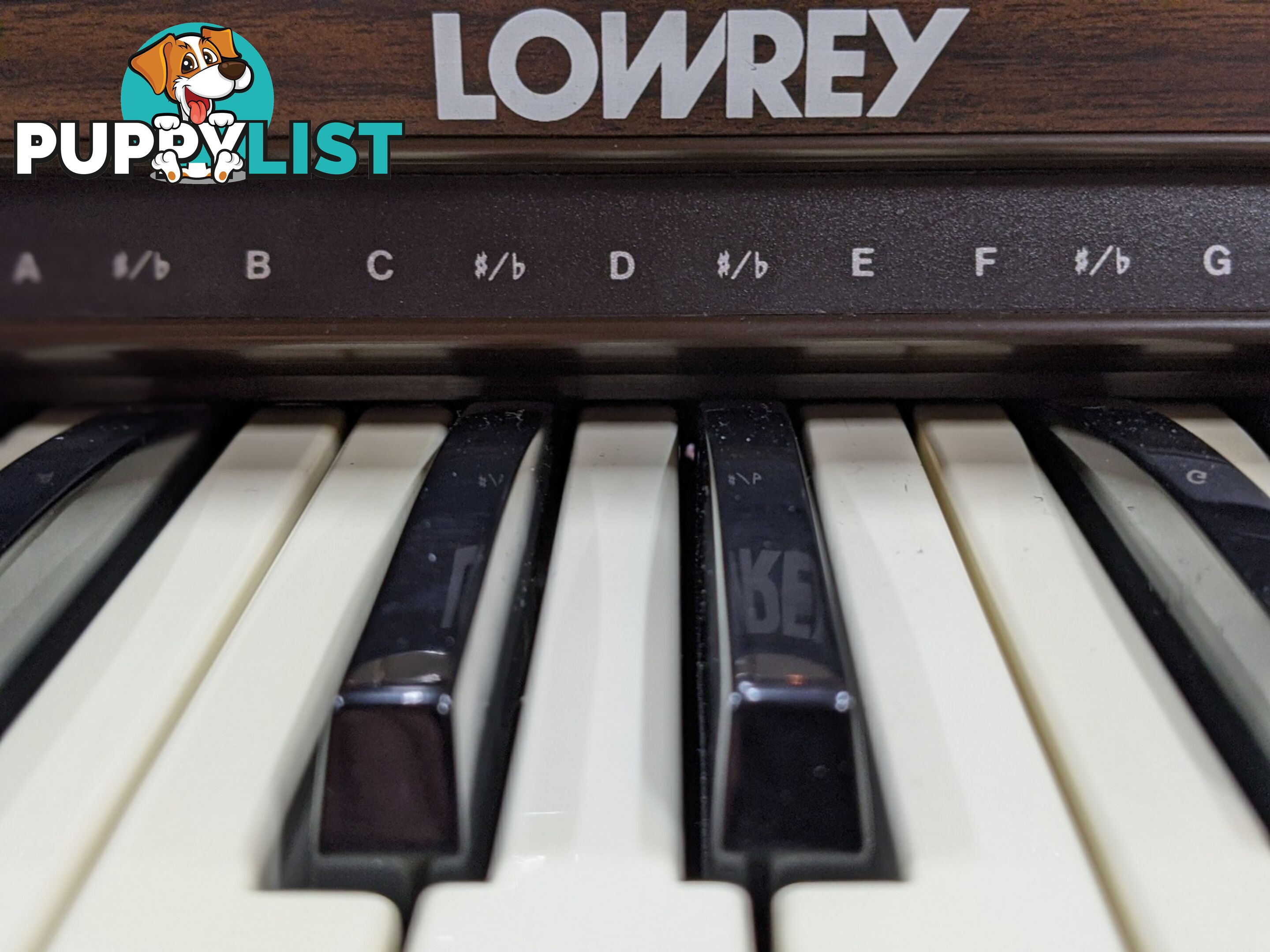 Lowrey Holiday D350 Organ