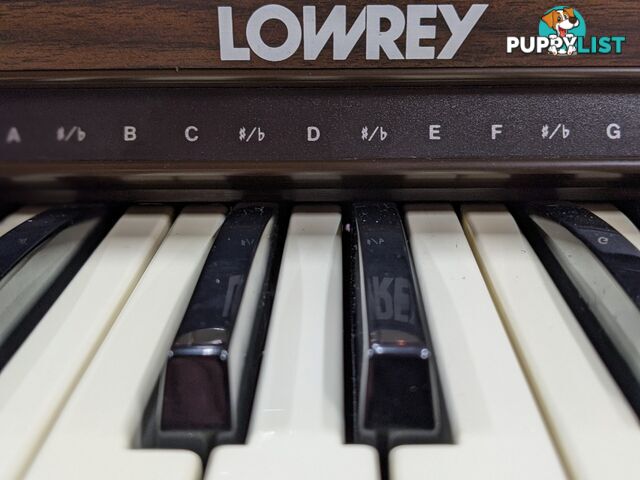 Lowrey Holiday D350 Organ