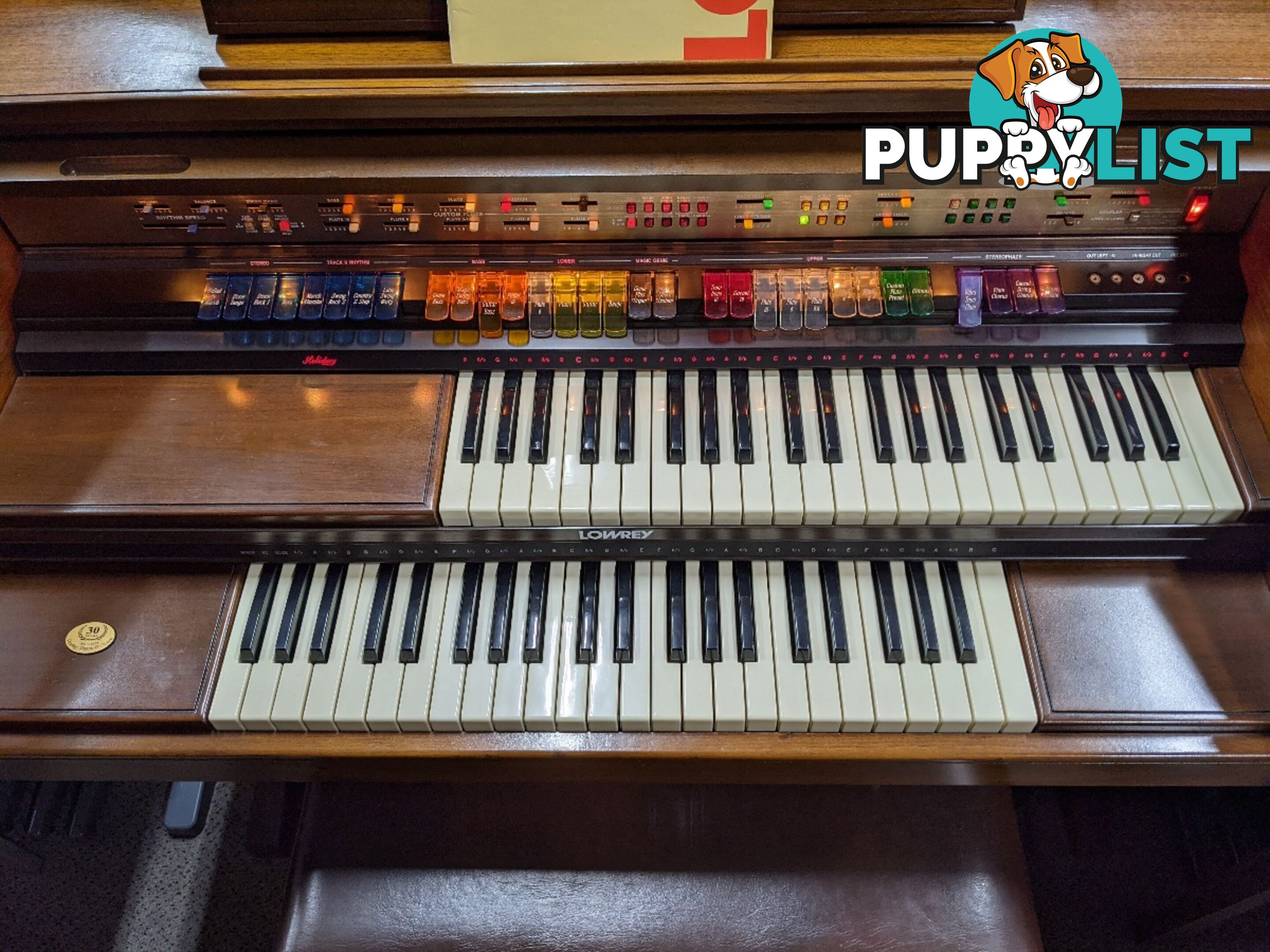 Lowrey Holiday D350 Organ