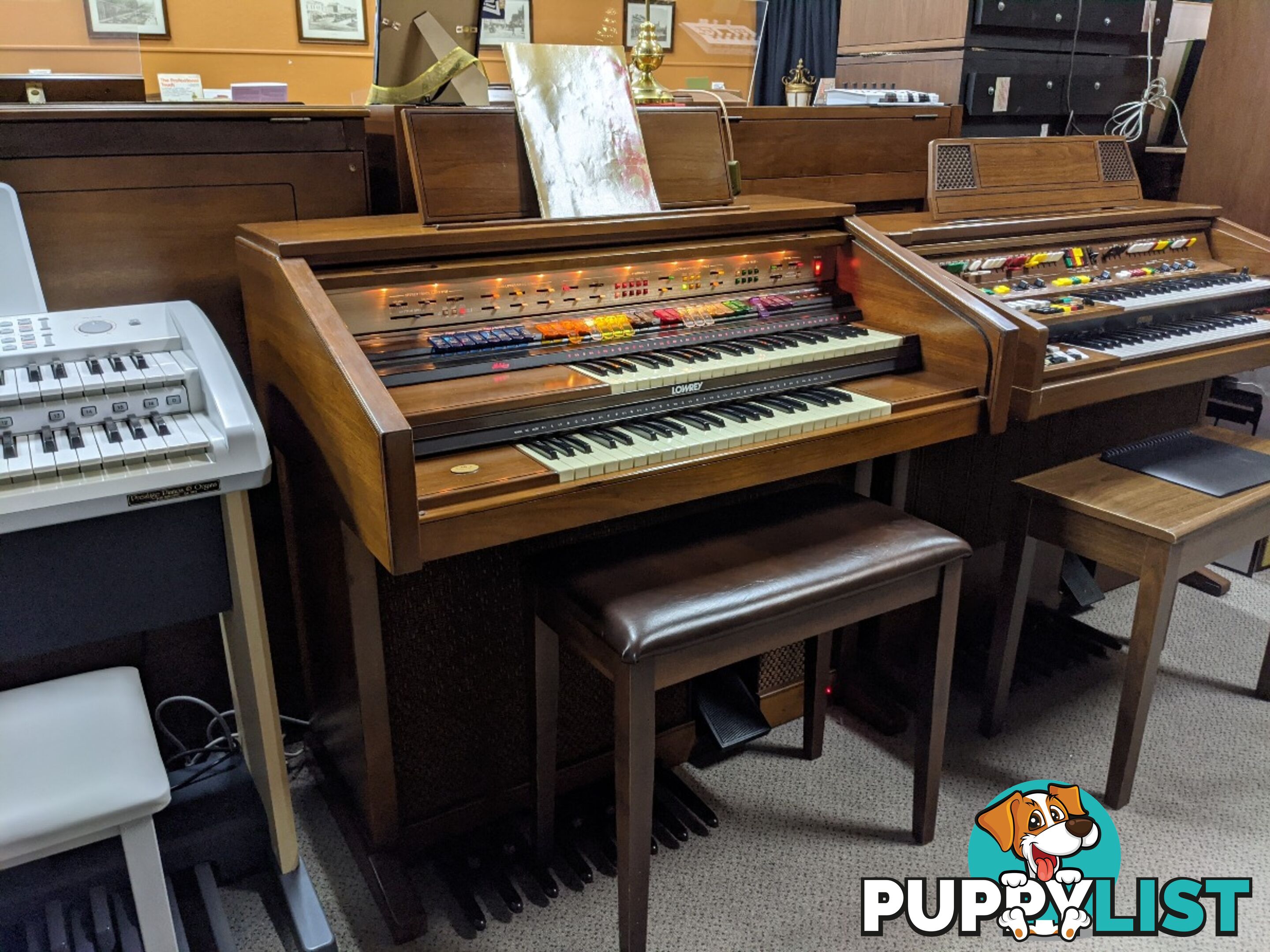 Lowrey Holiday D350 Organ