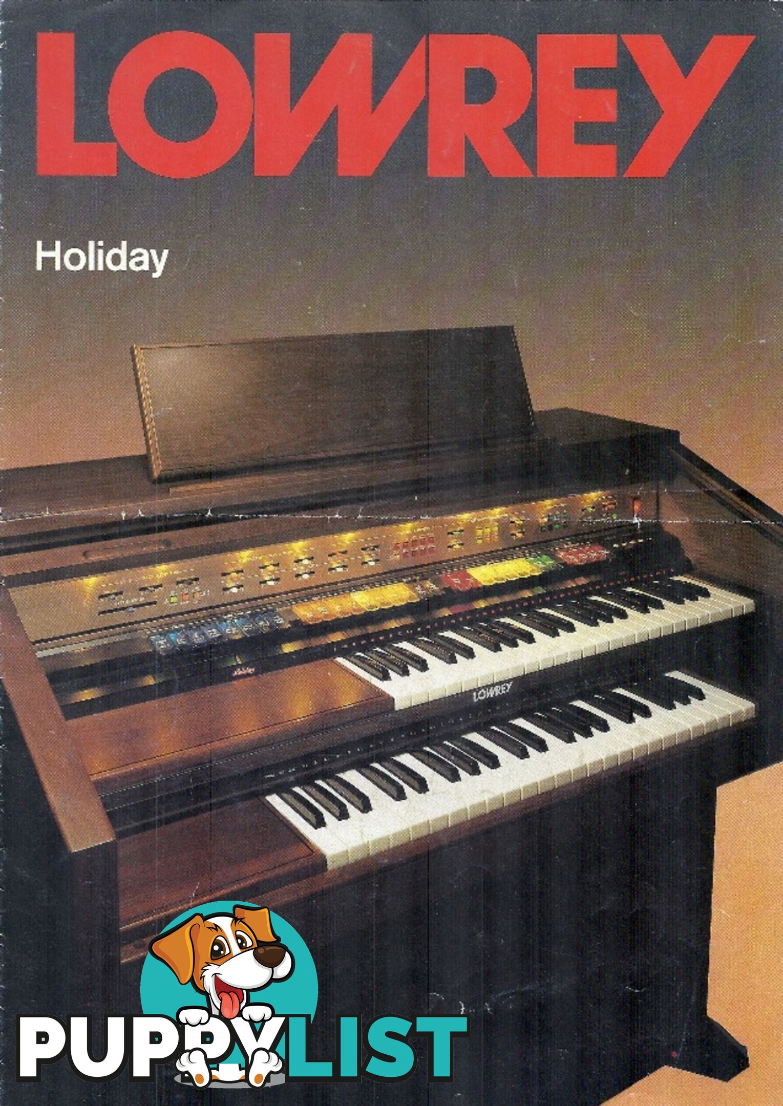 Lowrey Holiday D350 Organ