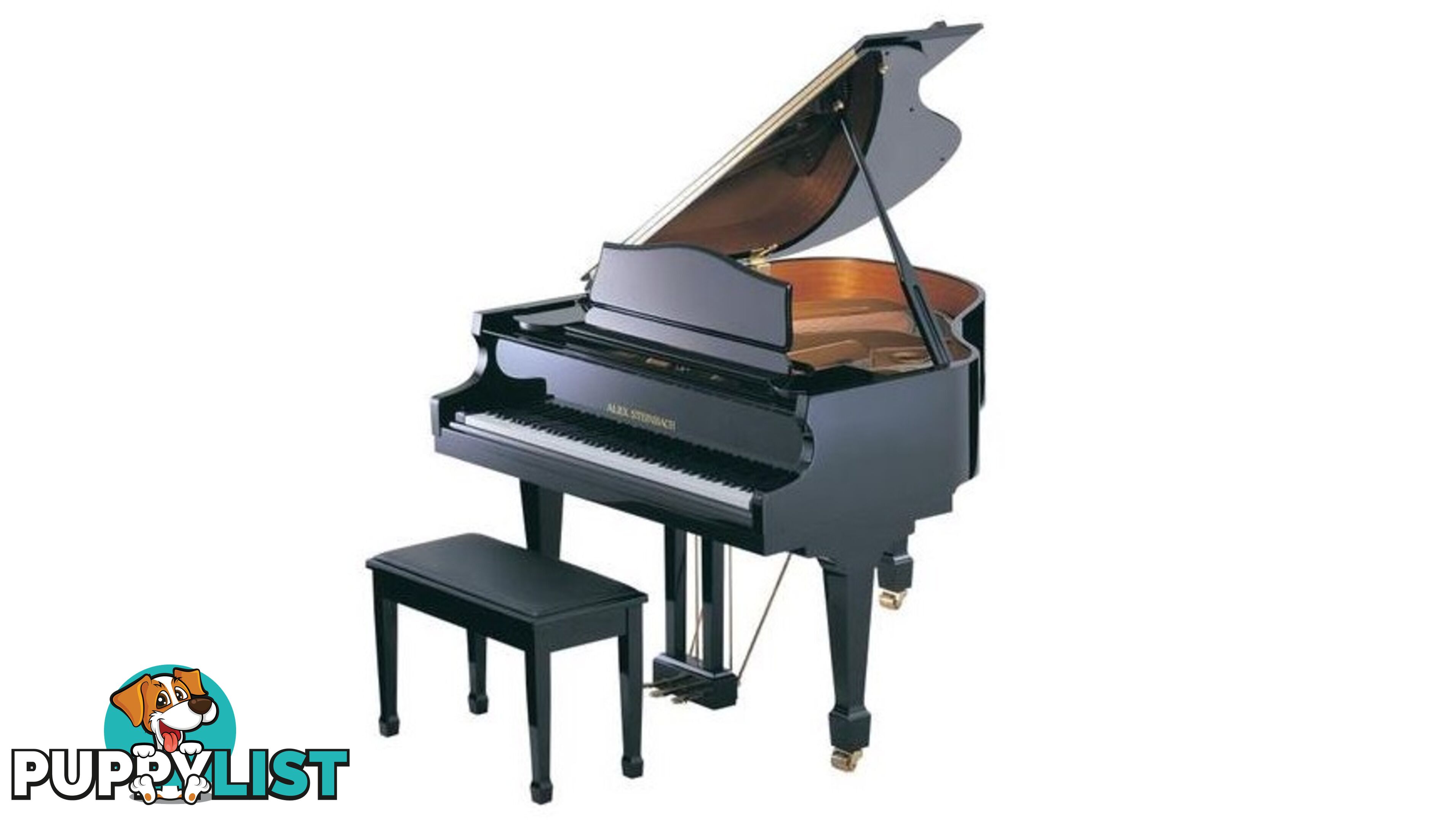 Alex Steinbach Elegance II ~ Contemporary (AS150D iQ) Player Grand Piano