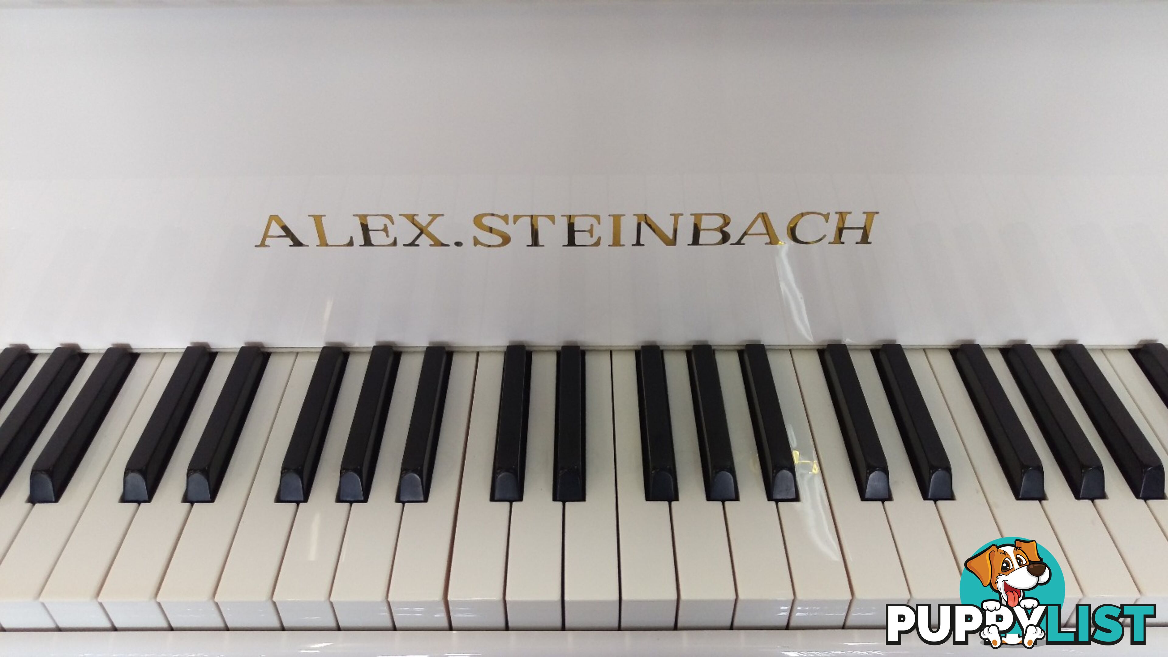 Alex Steinbach Elegance II ~ Contemporary (AS150D iQ) Player Grand Piano