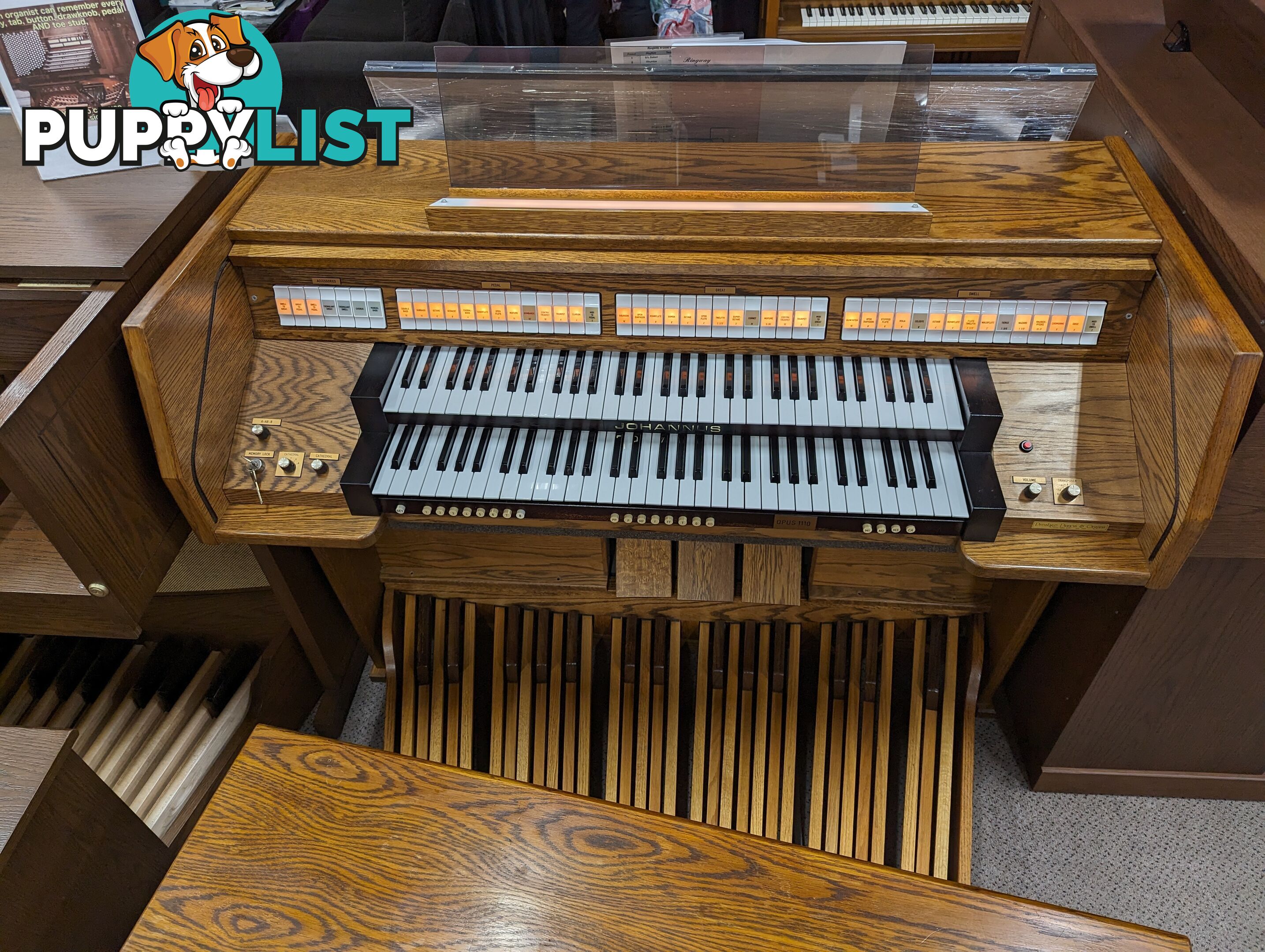 Johannus Opus 1110 Classical Organ  ~ Now Sold