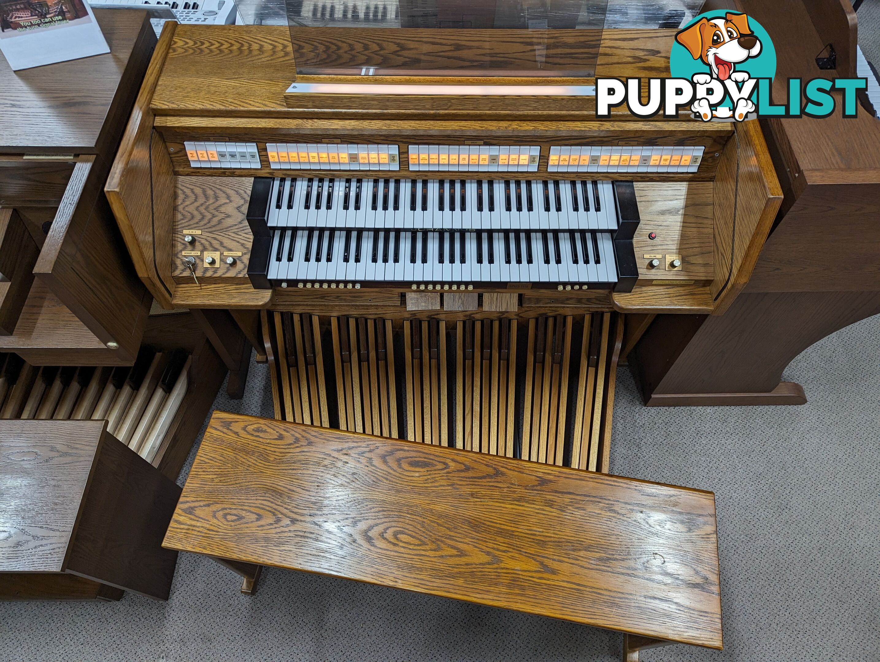 Johannus Opus 1110 Classical Organ  ~ Now Sold