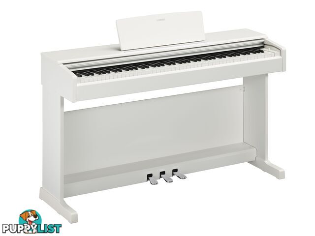 Yamaha Arius Digital Piano YDP145 in White