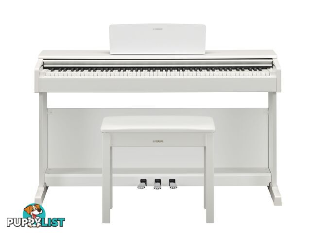 Yamaha Arius Digital Piano YDP145 in White