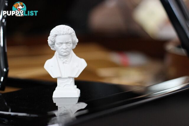 Beethoven Bust - 11cm