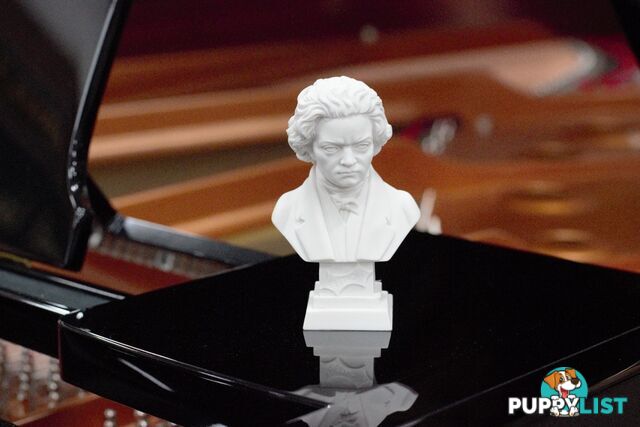 Beethoven Bust - 11cm