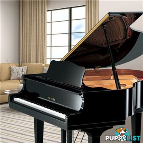 Yamaha Disklavier Grand Piano on GB1 ( DGB1K ENST )