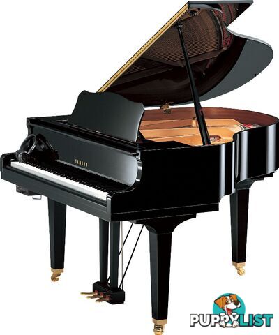 Yamaha Disklavier Grand Piano on GB1 ( DGB1K ENST )