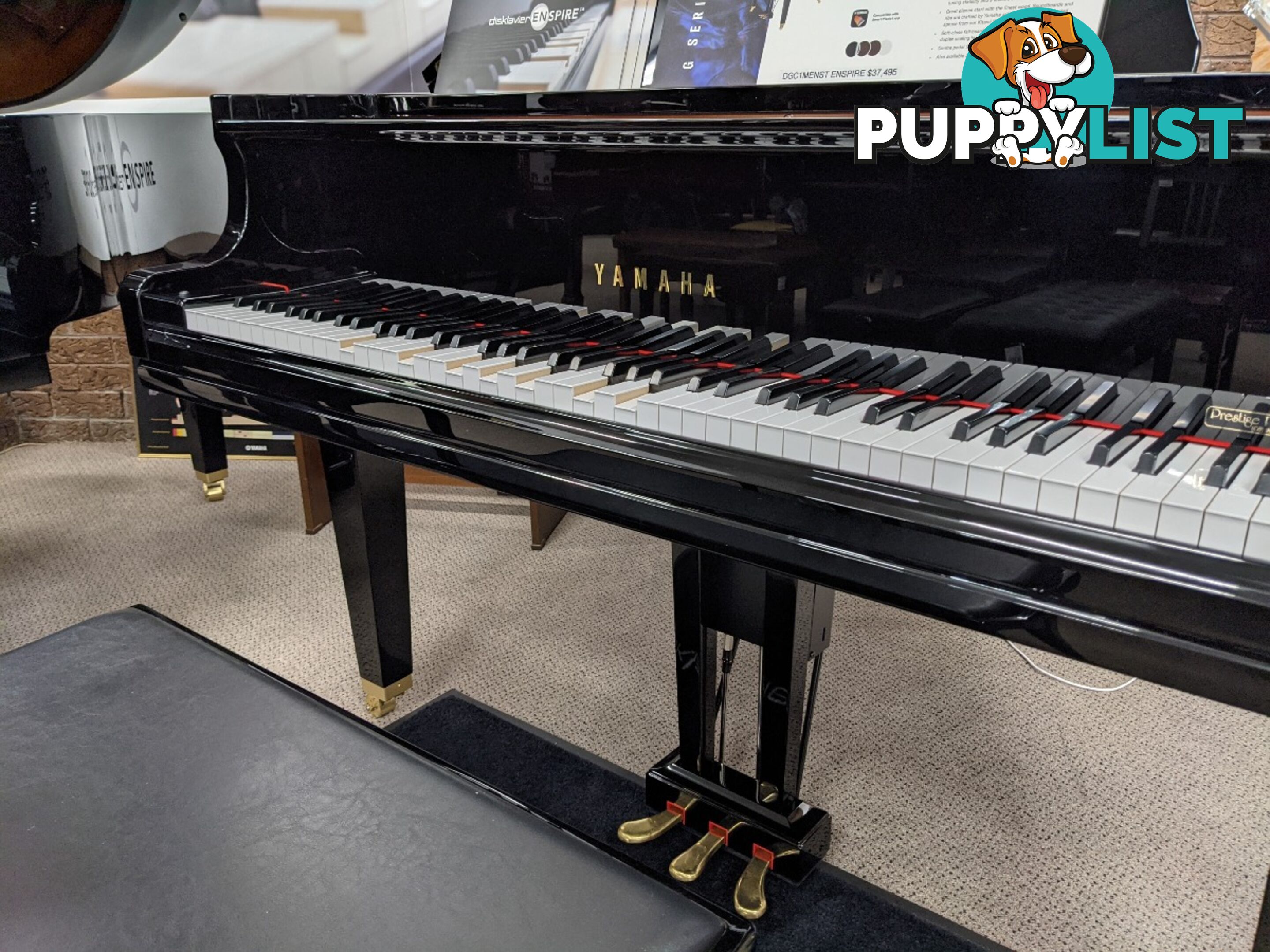 Yamaha Disklavier Grand Piano on GB1 ( DGB1K ENST )