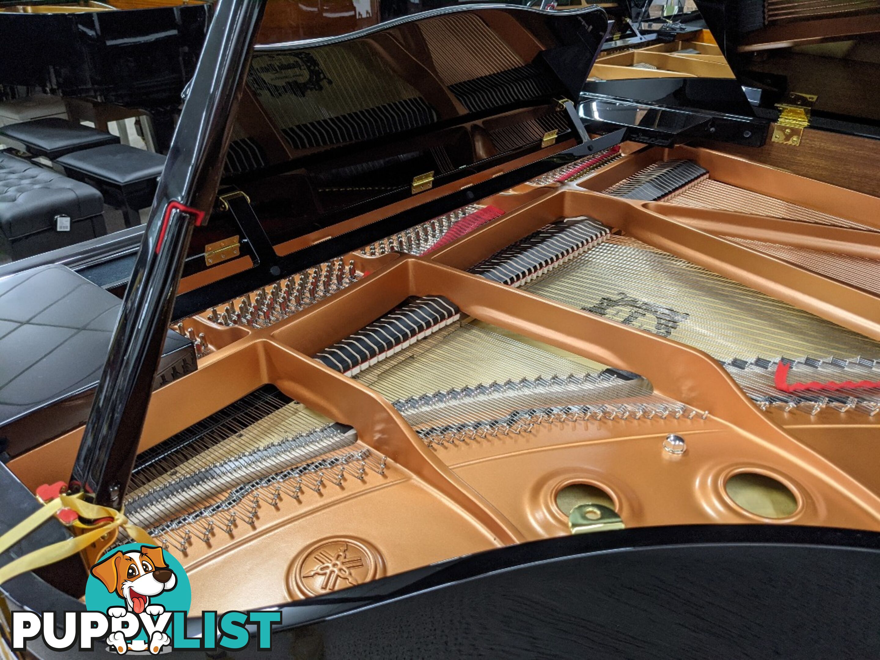 Yamaha Disklavier Grand Piano on GB1 ( DGB1K ENST )