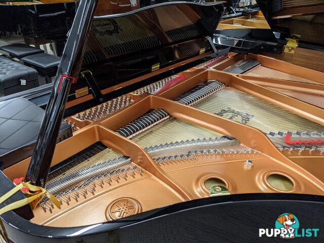 Yamaha Disklavier Grand Piano on GB1 ( DGB1K ENST )