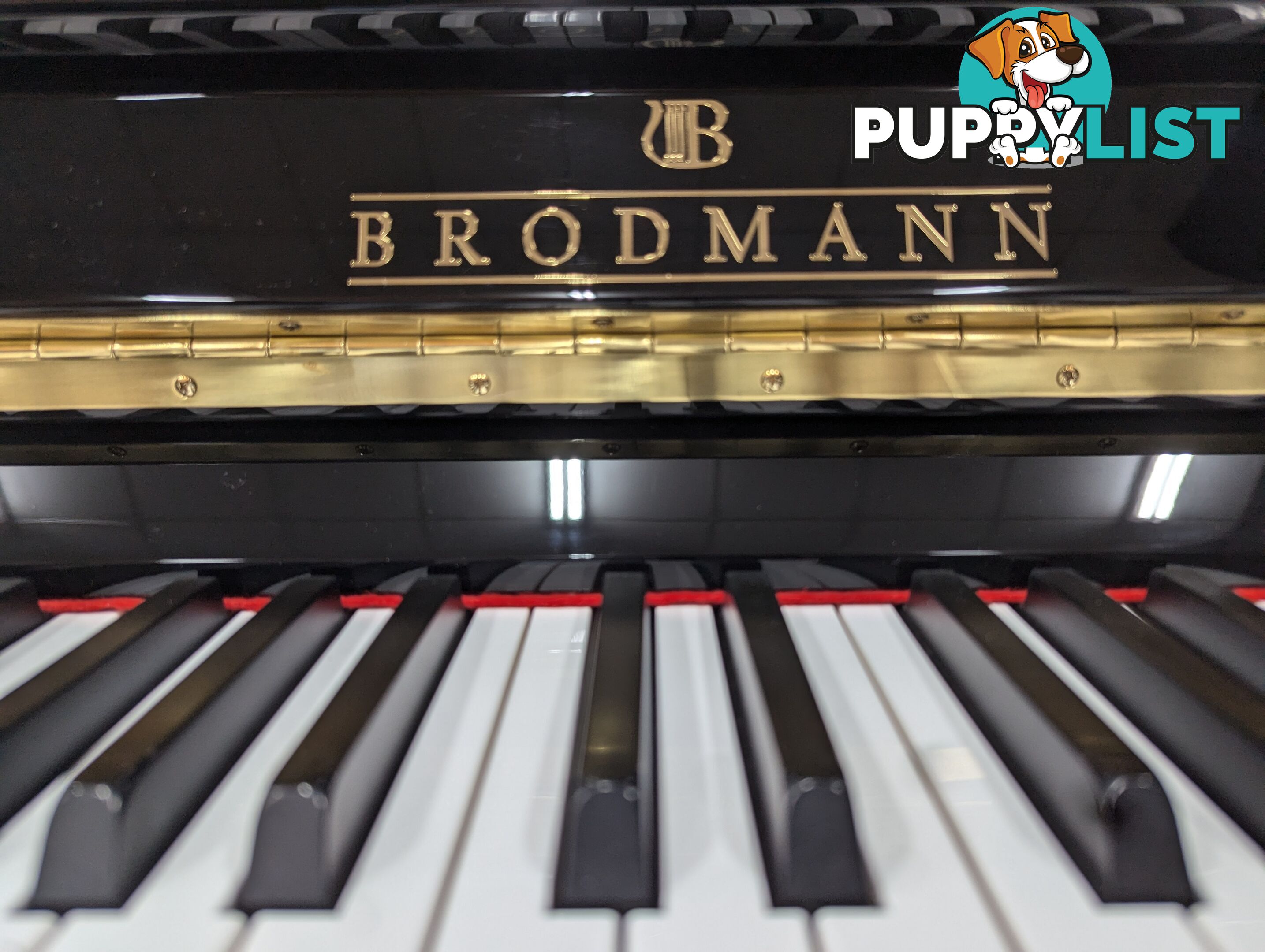 Brodmann CE-118 Upright Piano Ebony Polished