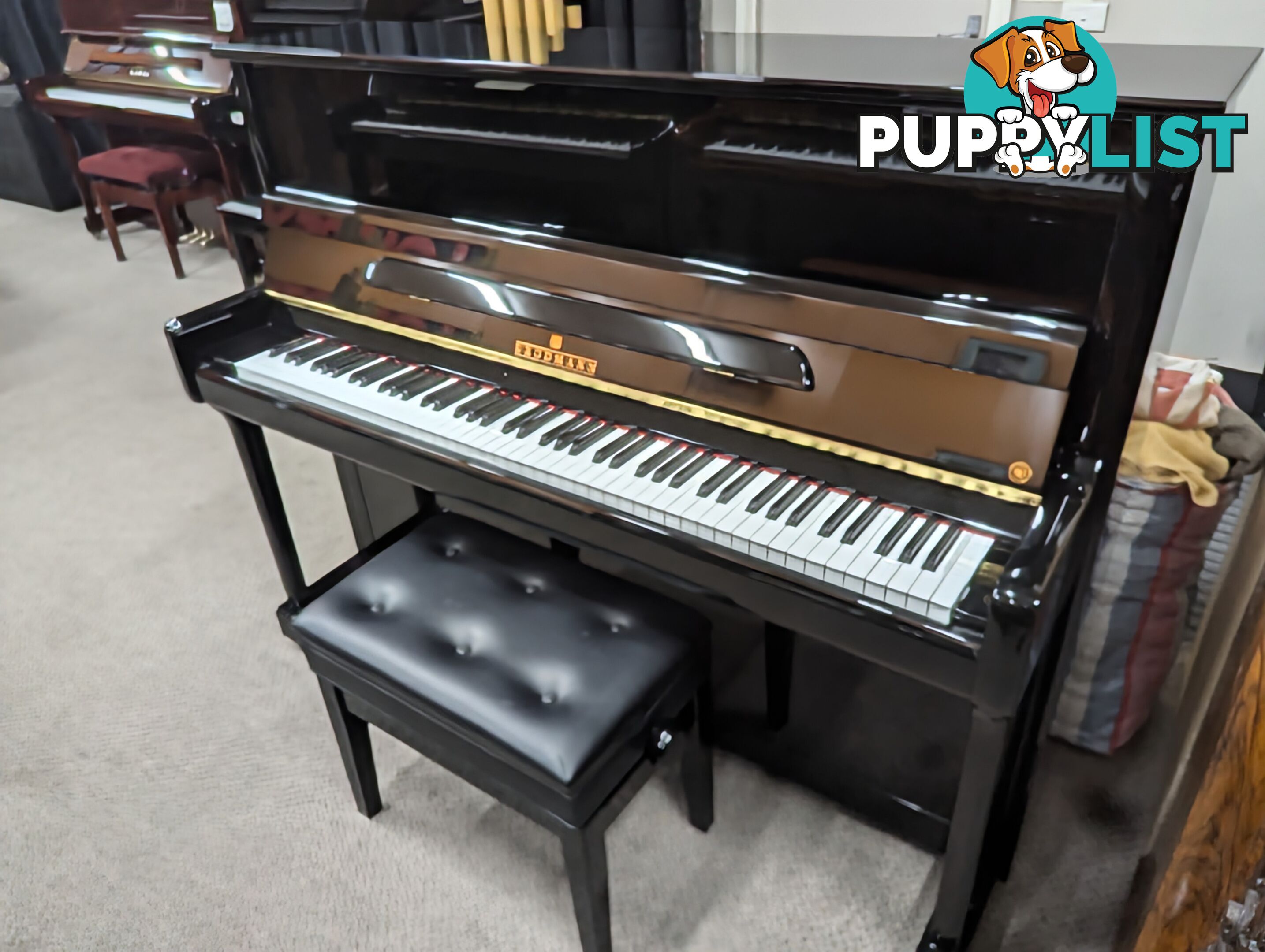 Brodmann CE-118 Upright Piano Ebony Polished