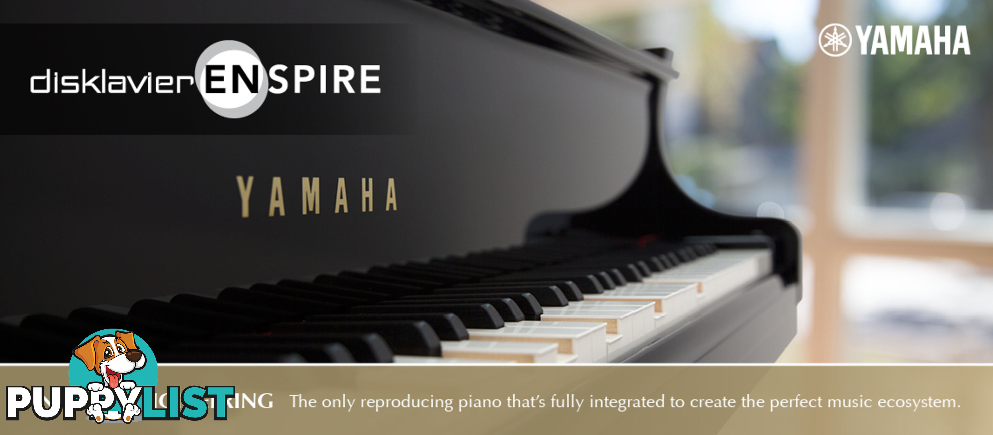 Yamaha Disklavier Enspire Grand Piano C3 X DC3X ENPRO Series