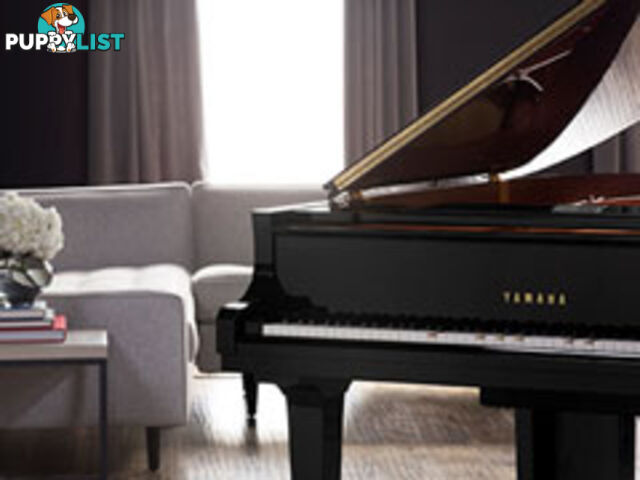 Yamaha Disklavier Enspire Grand Piano C3 X DC3X ENPRO Series