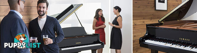 Yamaha Disklavier Enspire Grand Piano C3 X DC3X ENPRO Series