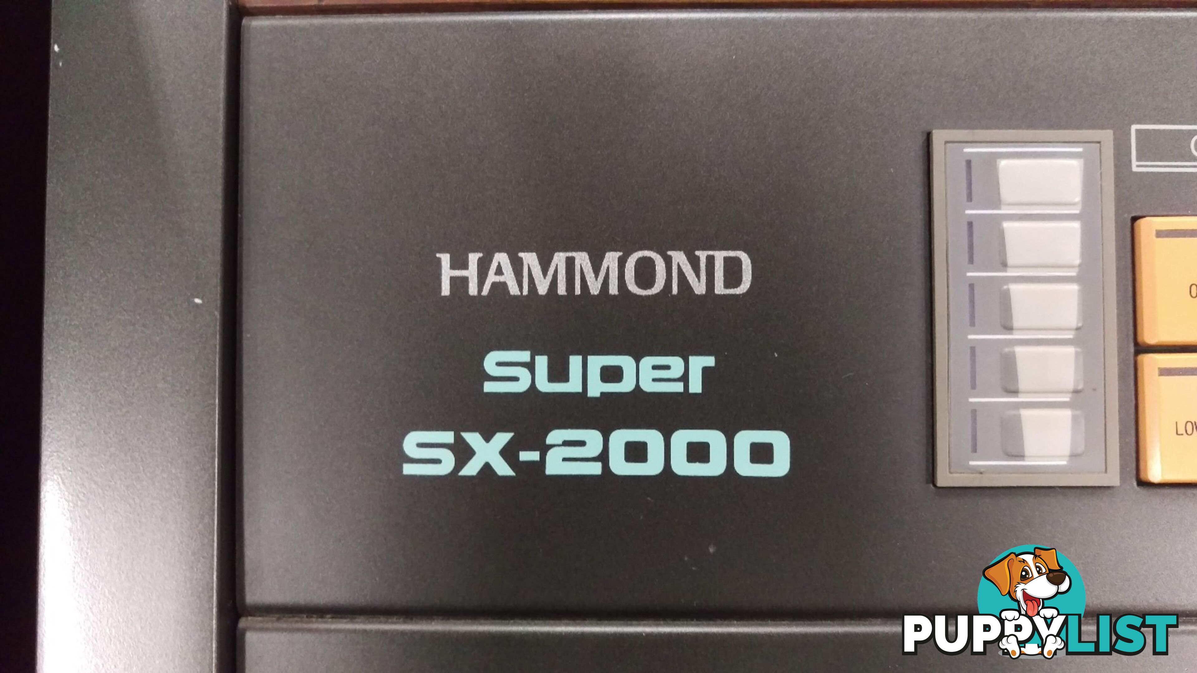 Hammond Super SX-2000 Organ ~ Now Sold