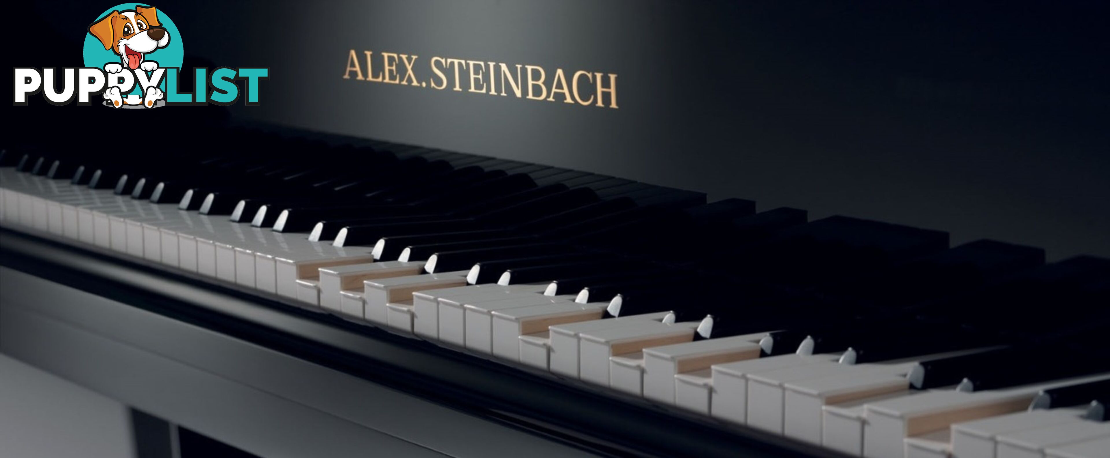 Alex Steinbach lifestyle Piano and The Invisible Pianist