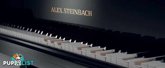 Alex Steinbach lifestyle Piano and The Invisible Pianist