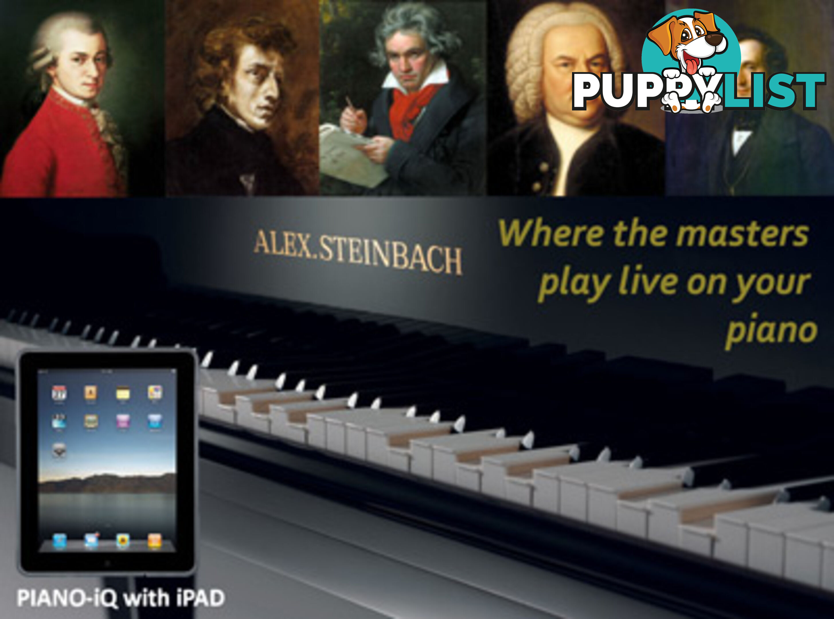 Alex Steinbach lifestyle Piano and The Invisible Pianist