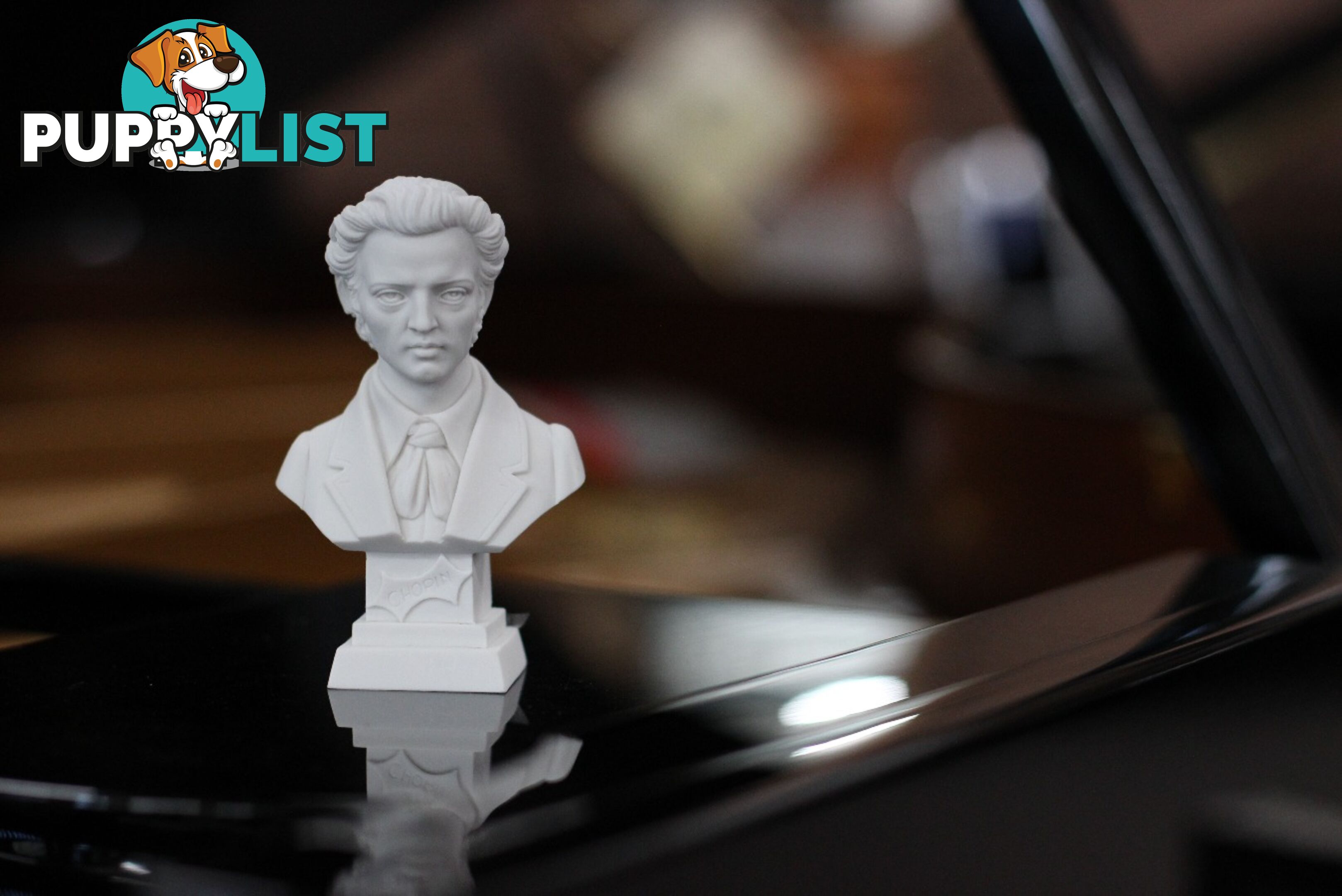 Chopin Bust - 11cm