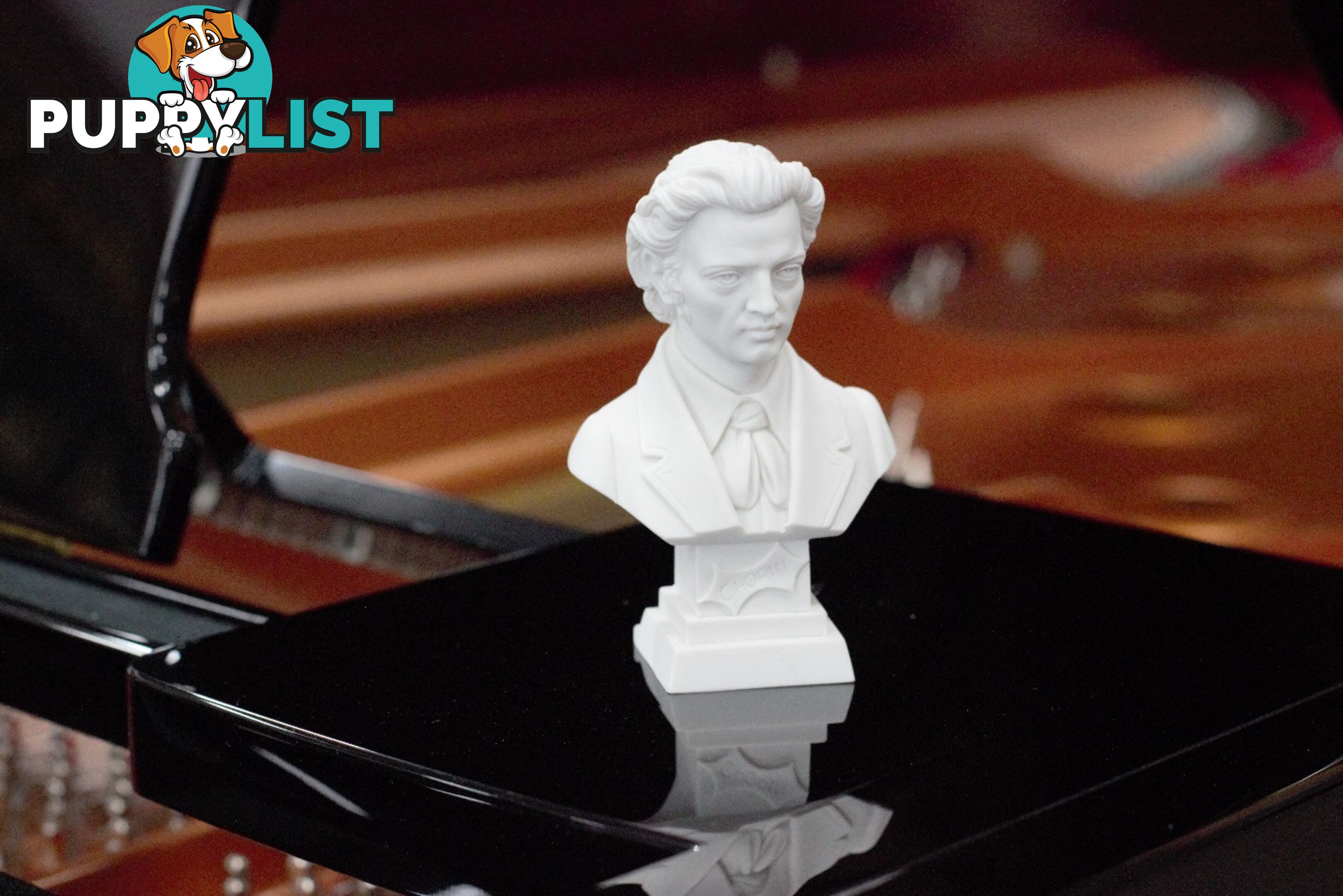 Chopin Bust - 11cm