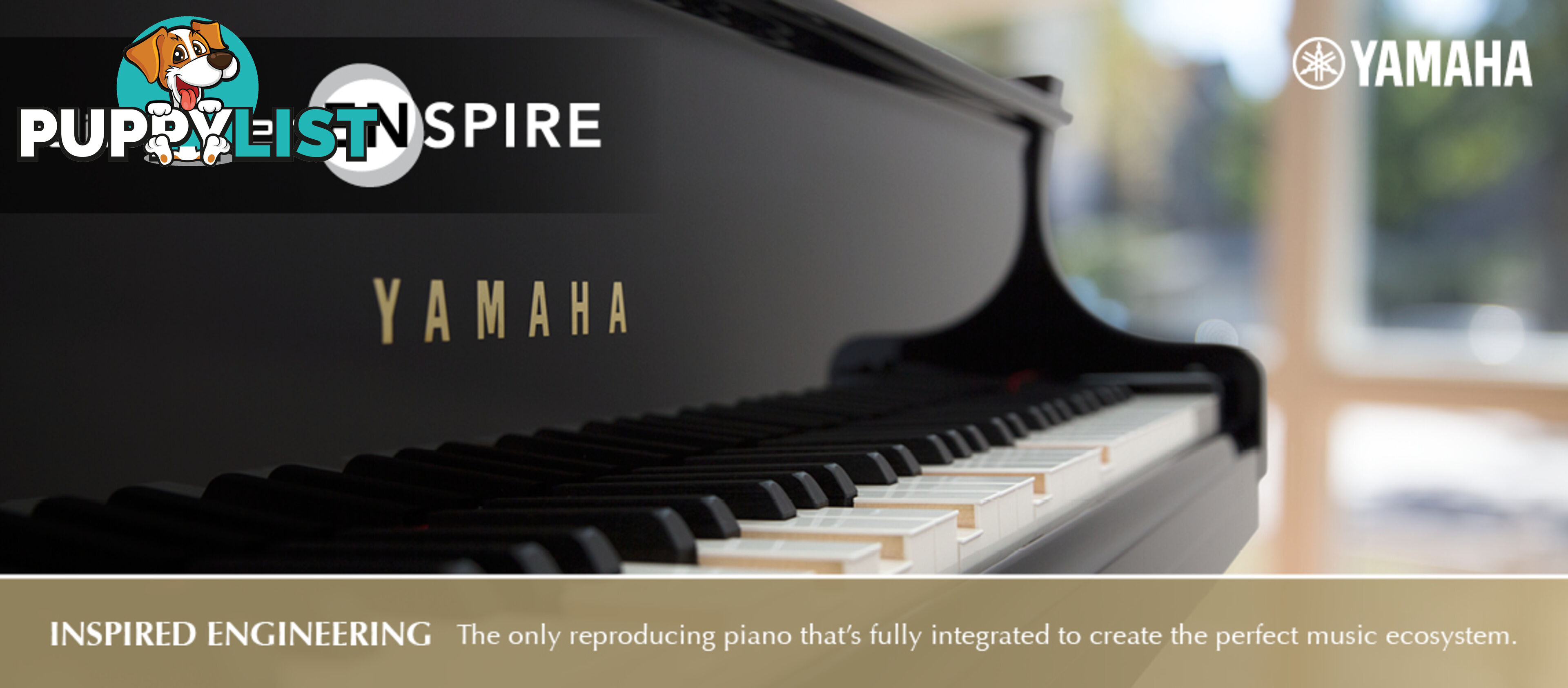 Yamaha C7 Grand Piano CX Series