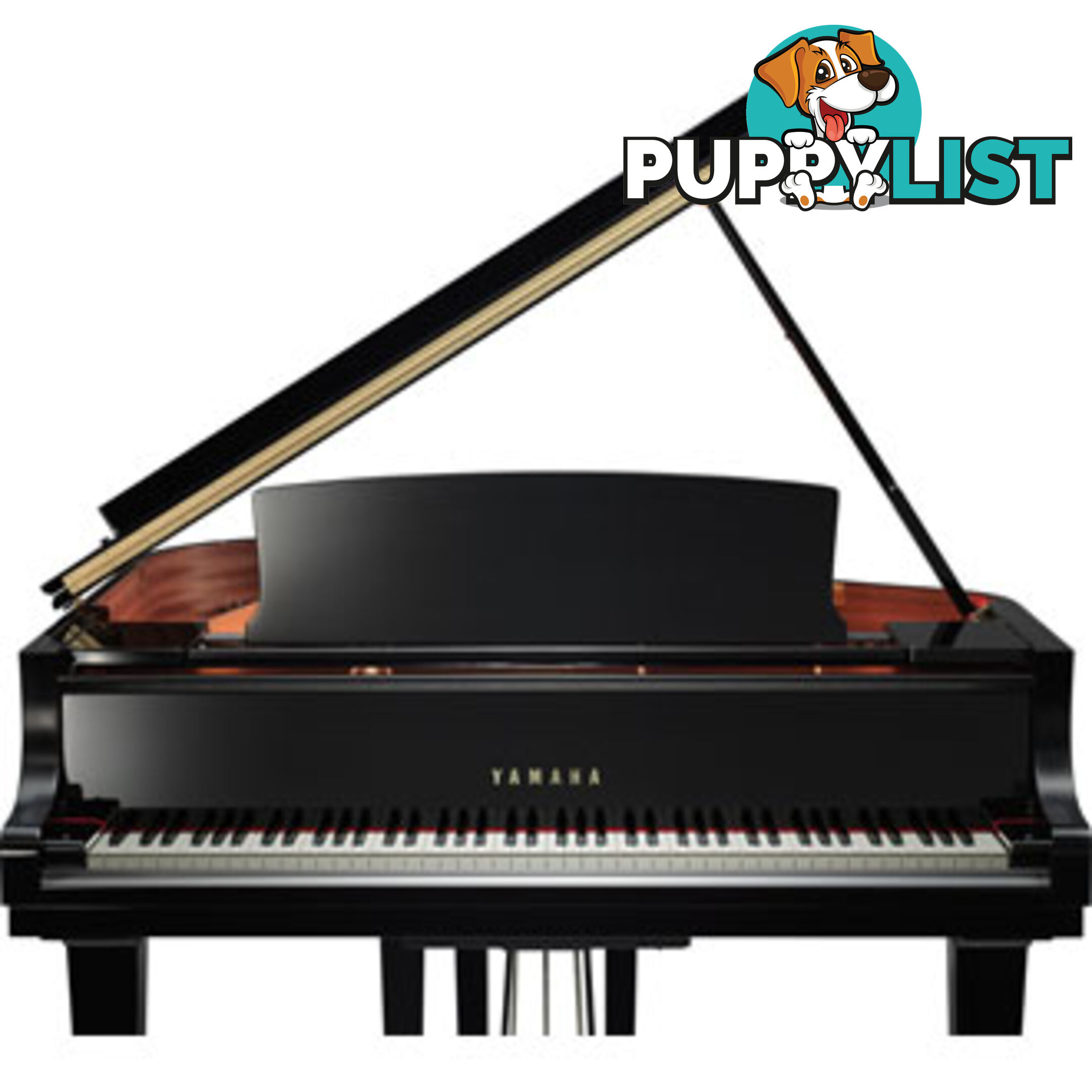 Yamaha C7 Grand Piano CX Series