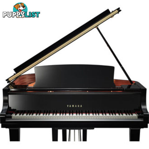 Yamaha C7 Grand Piano CX Series