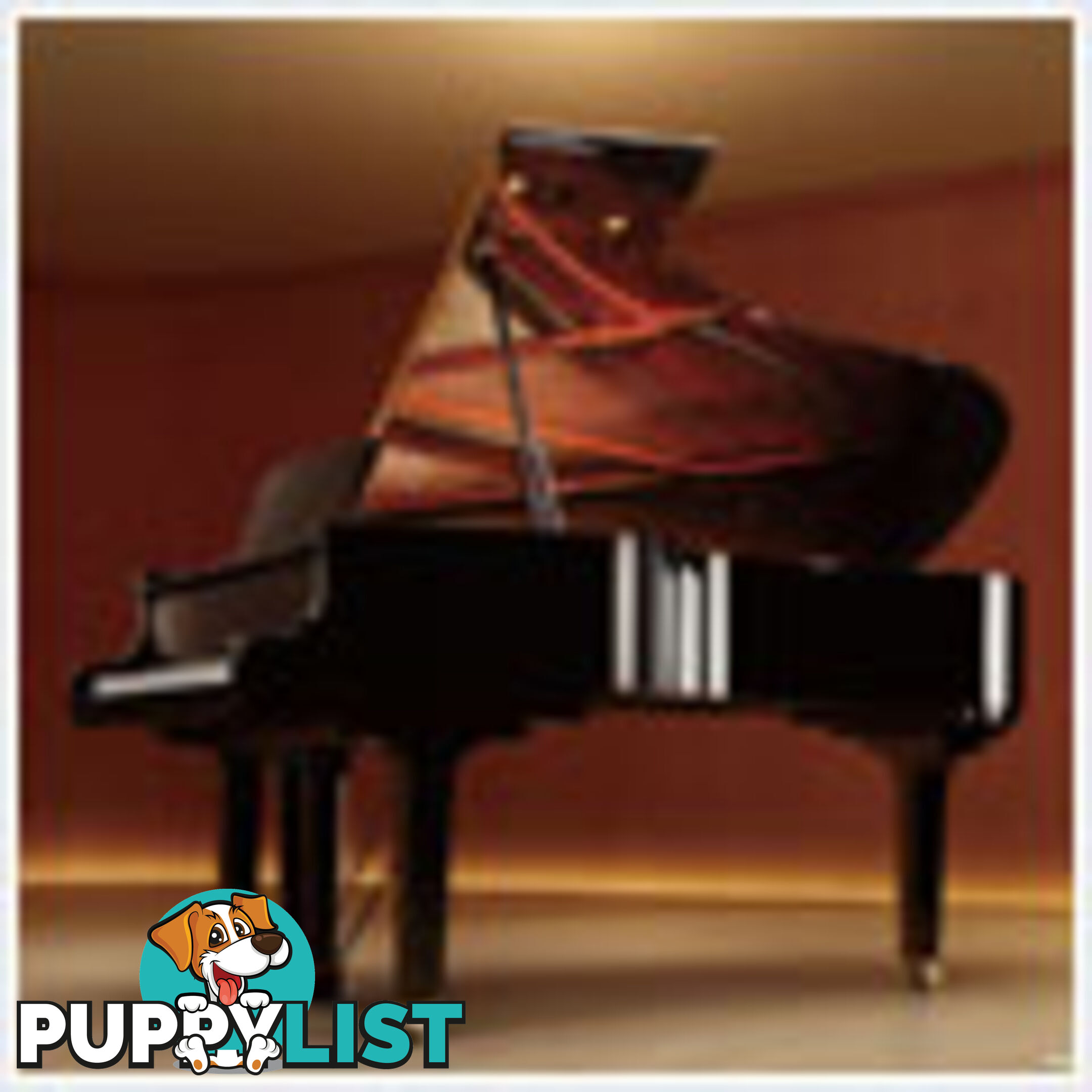 Yamaha C7 Grand Piano CX Series