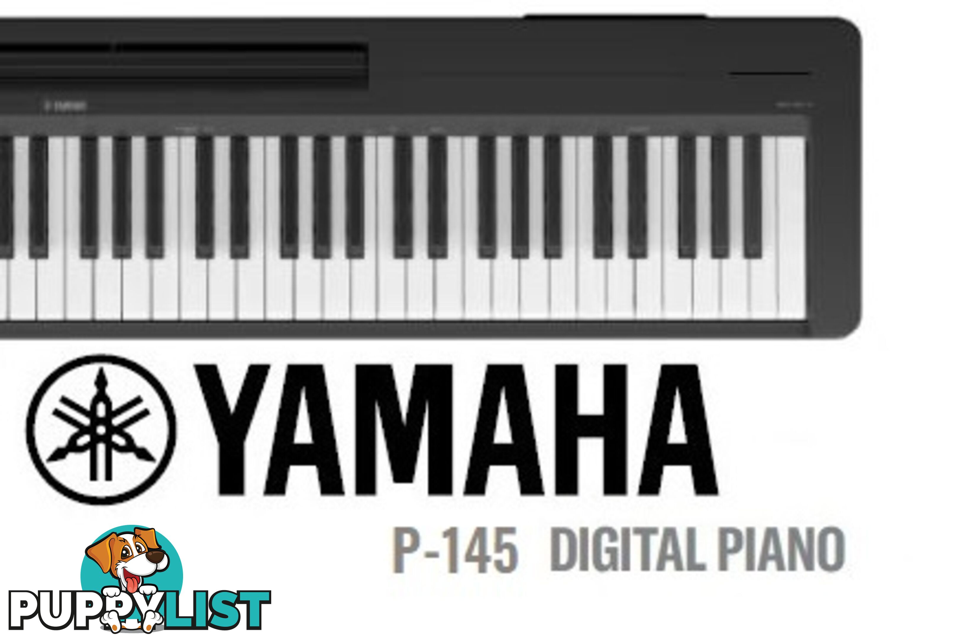 Yamaha P145 Portable Digital Piano