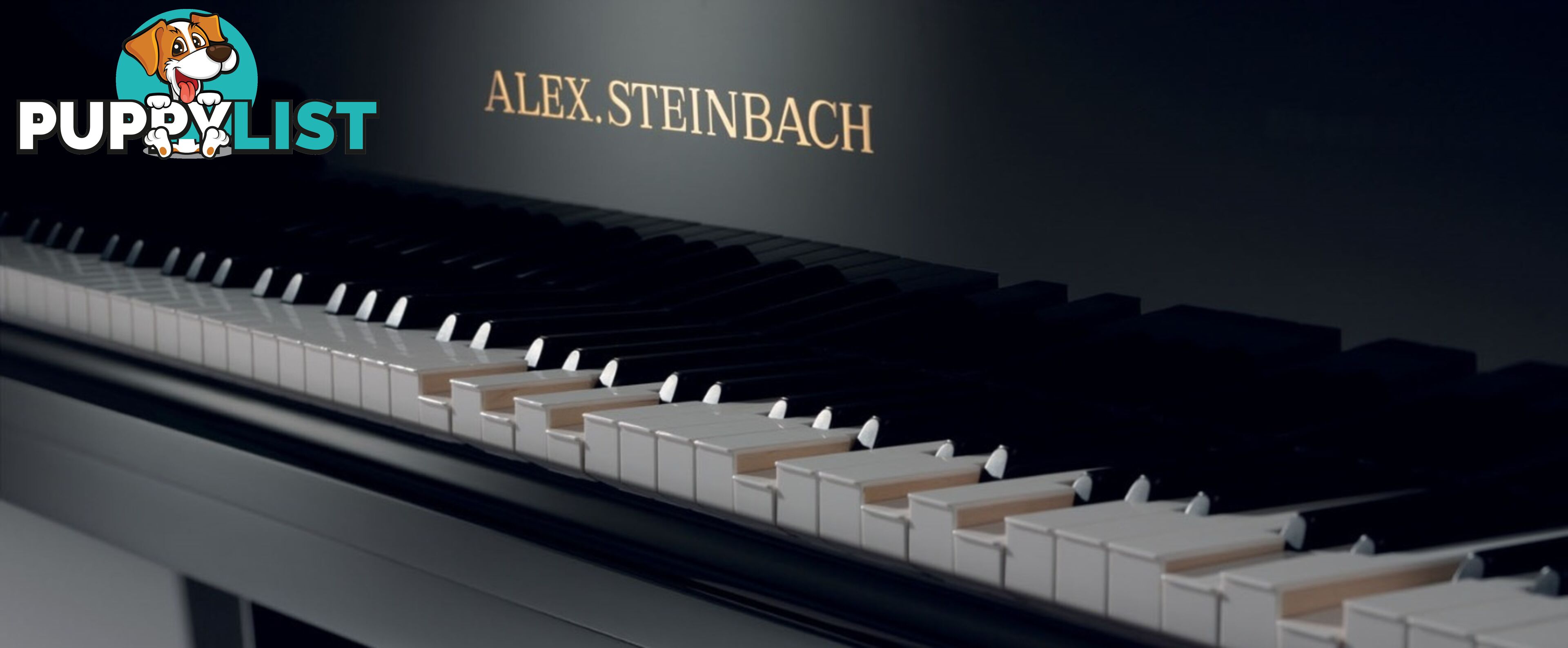 Alex Steinbach Recital II ( JS125 SMD) 125cm Upright Piano 