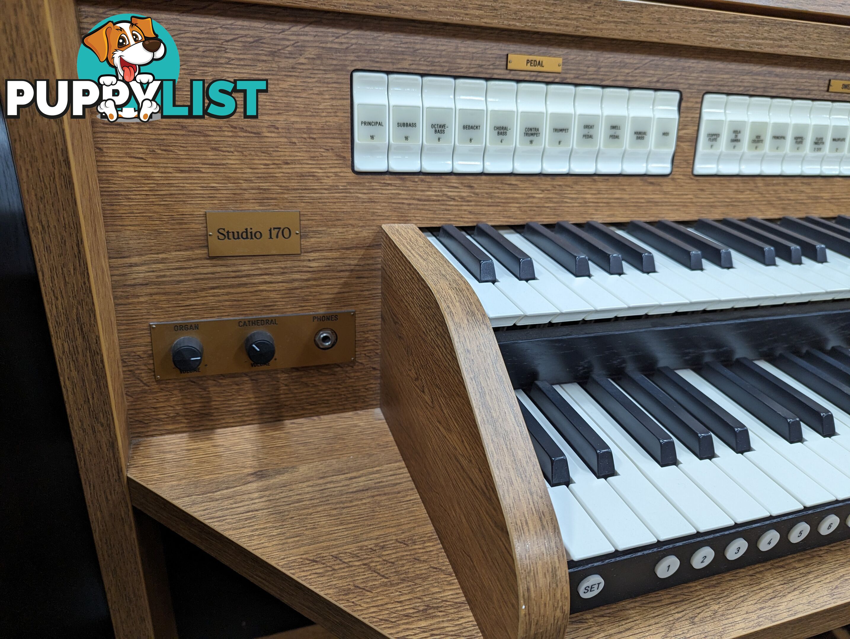 Johannus Studio 170 Classical Organ ~ Sold 