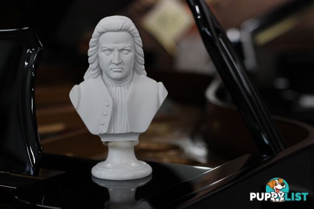 Bach Bust - 22cm