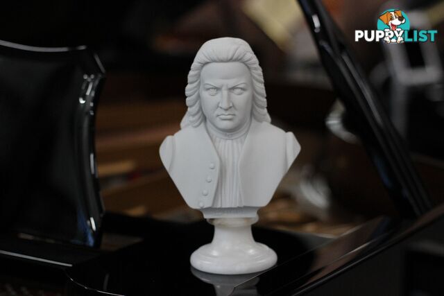 Bach Bust - 22cm