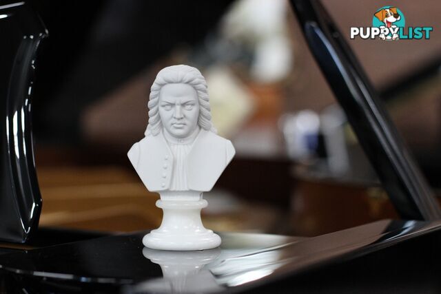 Bach Bust - 22cm