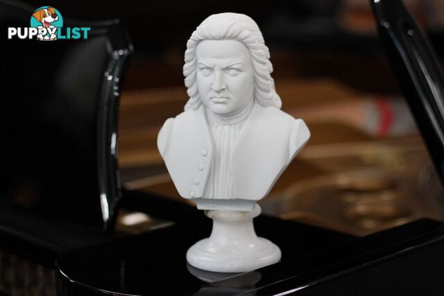 Bach Bust - 22cm