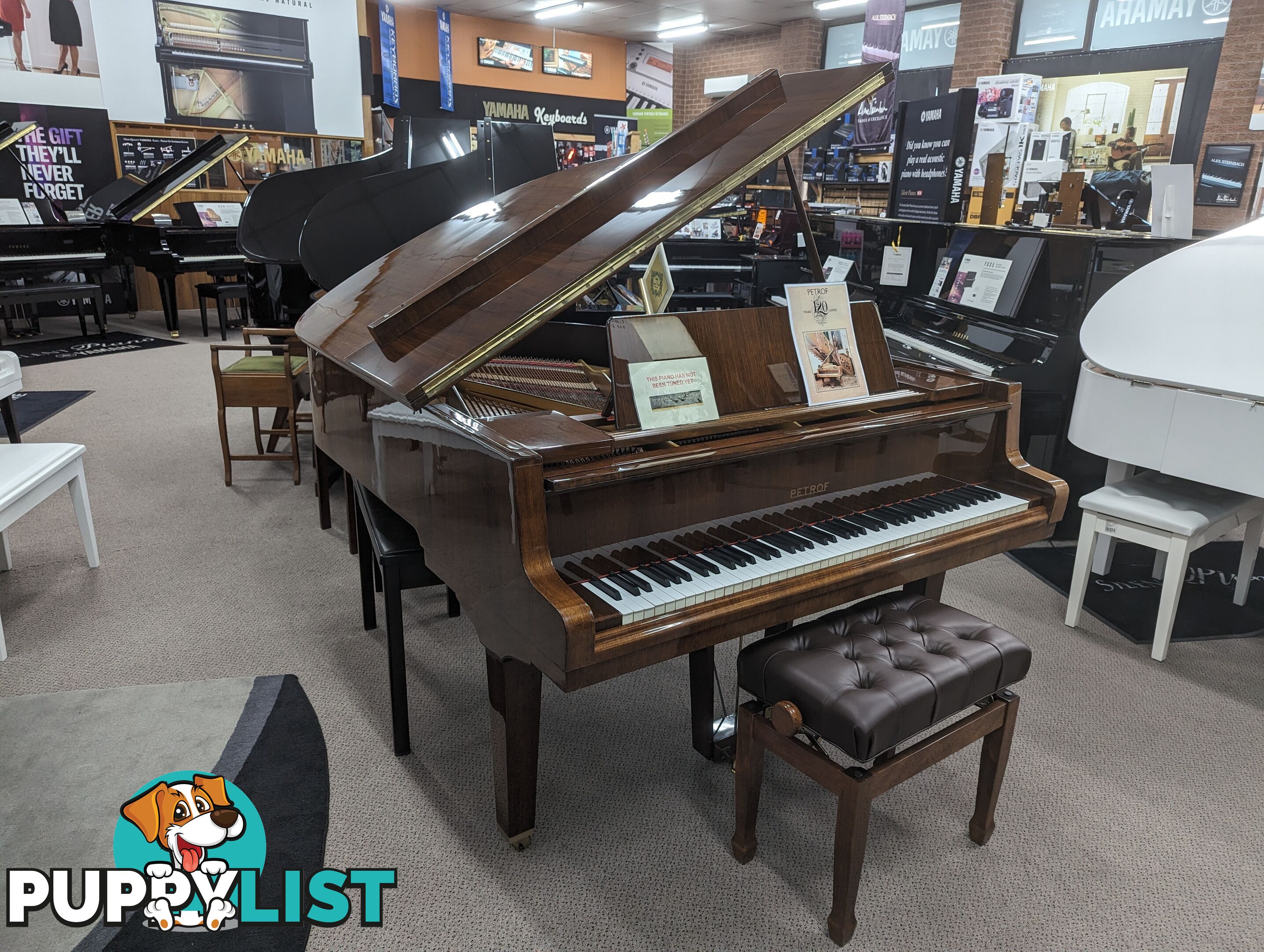 Petrof Model IV 172cm Grand Piano Walnut Polished 1978