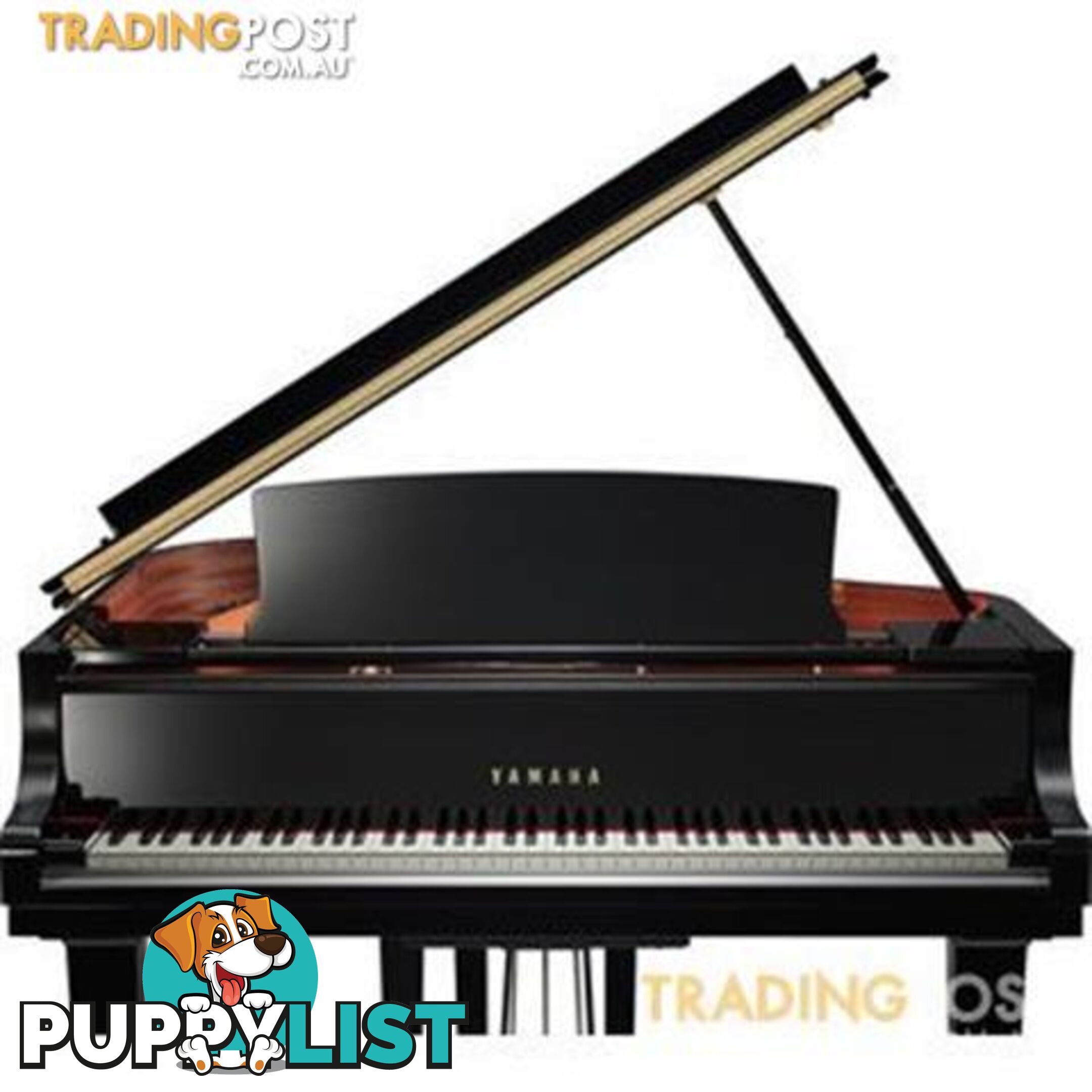 Yamaha C3XGrand Piano CX Series